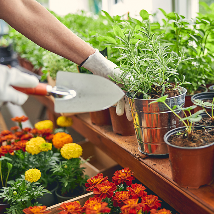 Garten-Zubehör bei Düngemax-24